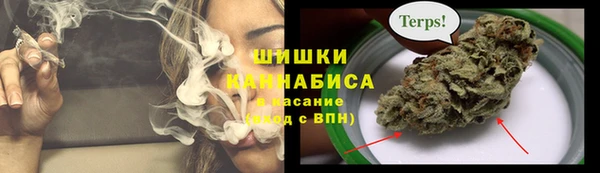 гидропоника Богданович