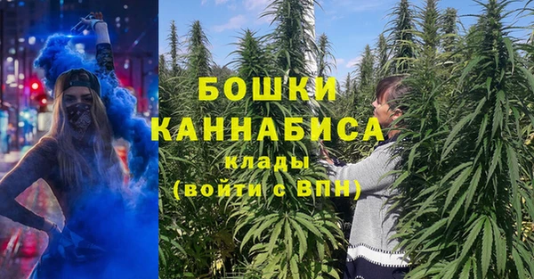 гидропоника Богданович