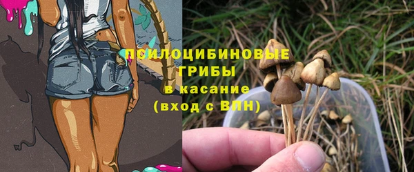 амфетамин Богородицк