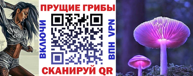 Купить  Стерлитамак  Псилоцибиновые грибы мухоморы 