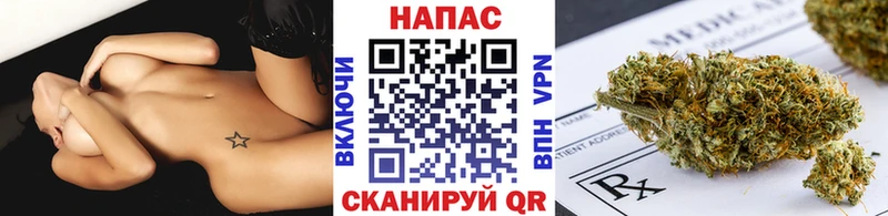 Купить где Стерлитамак Конопля OG Kush